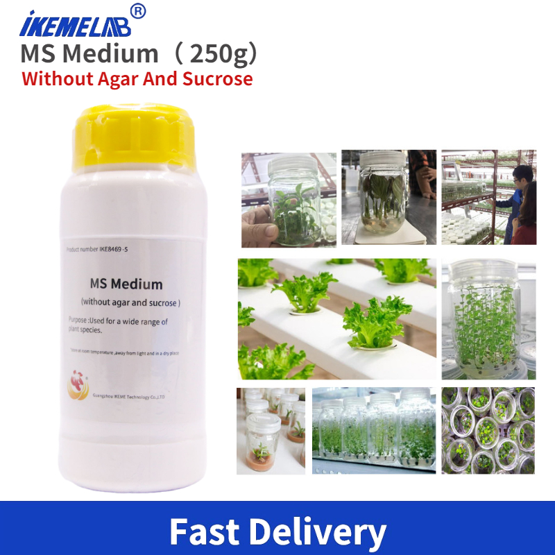 250G Phòng MS Trung Bình Mà Kh - đánh giá và giá Agar Tissue Culture