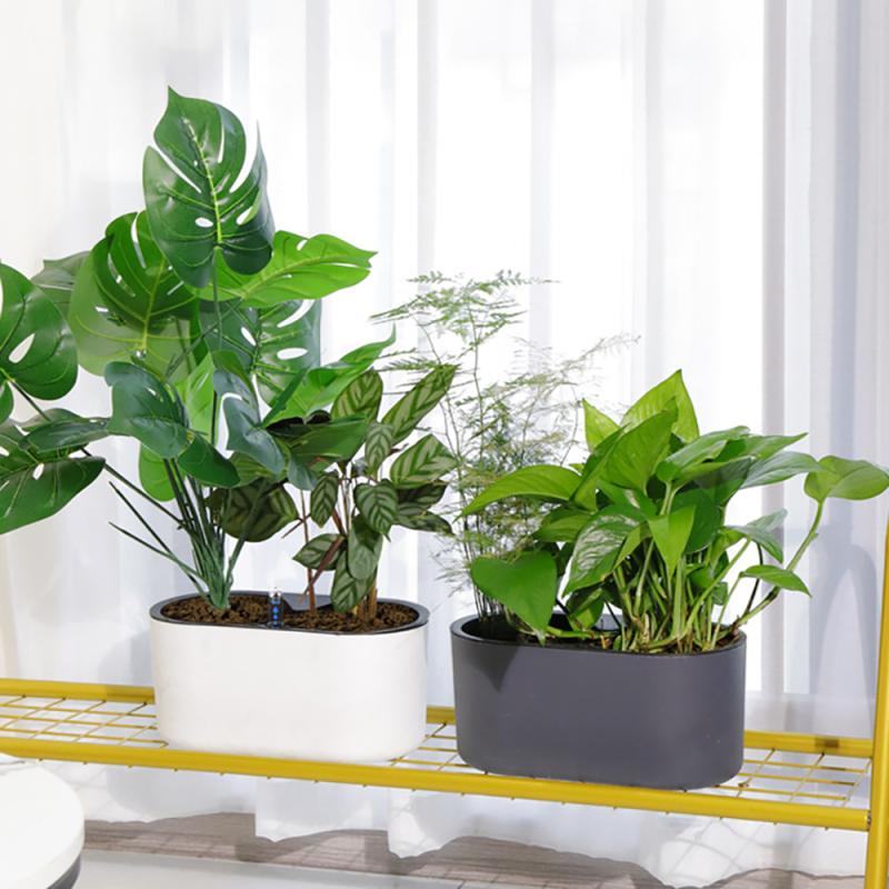 Trong Nhà Có Đèn Báo Chân Bằng - đánh giá và giá Self Watering Insert