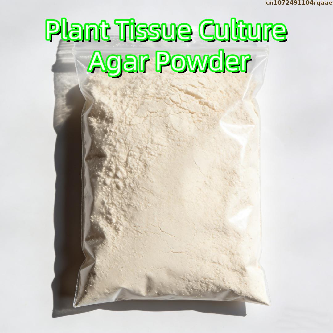 Premium Plant Tissue Culture A - đánh giá và giá Agar Tissue Culture