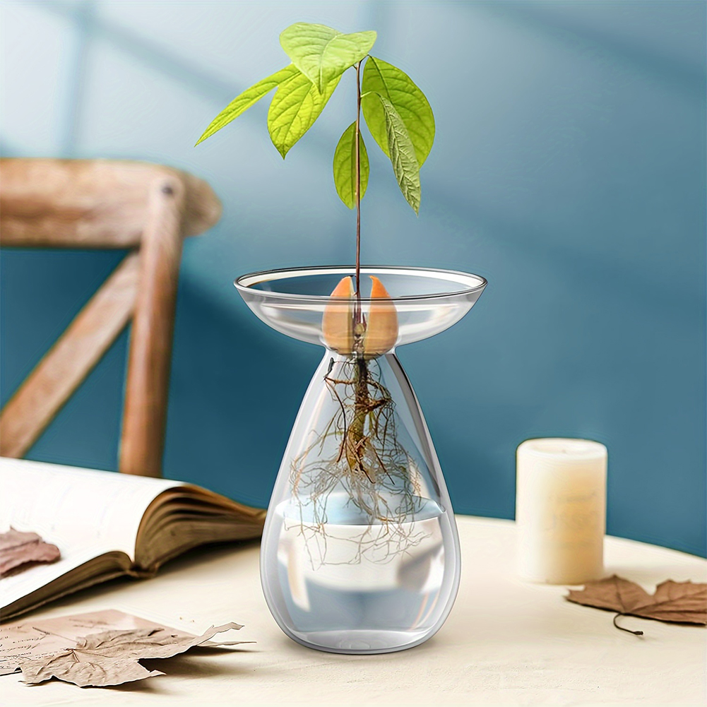 Avocado Seed Starter Hydroponi - đánh giá và giá Propagation Station Vase