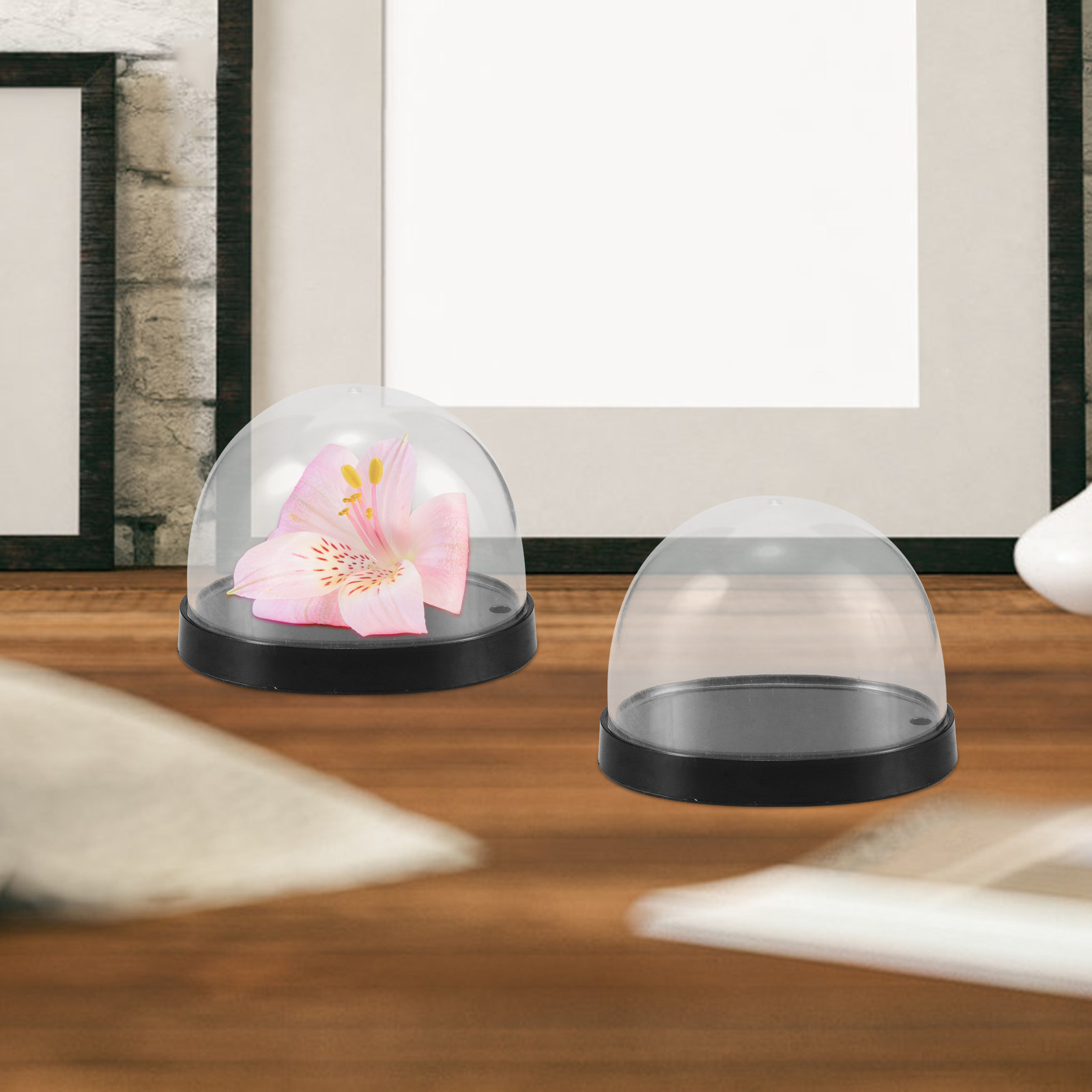 5Sets High-Transparency Plasti - đánh giá và giá Plastic Dome Clear
