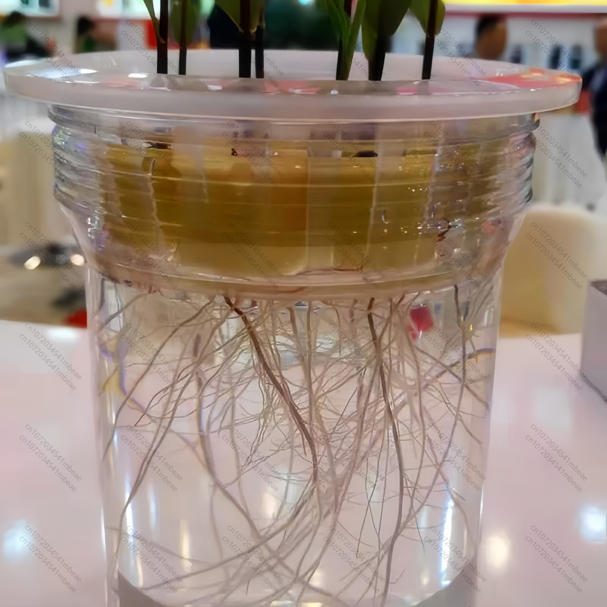 NAA 98% TC 1-Naphthaleneacetic - đánh giá và giá Rooting Hormone Powder