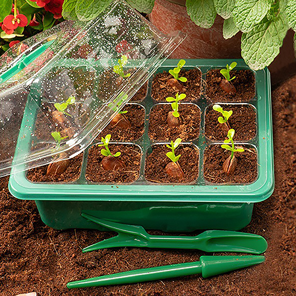 Seed Starter Trays with Grow L - đánh giá và giá Humidity Dome Kit
