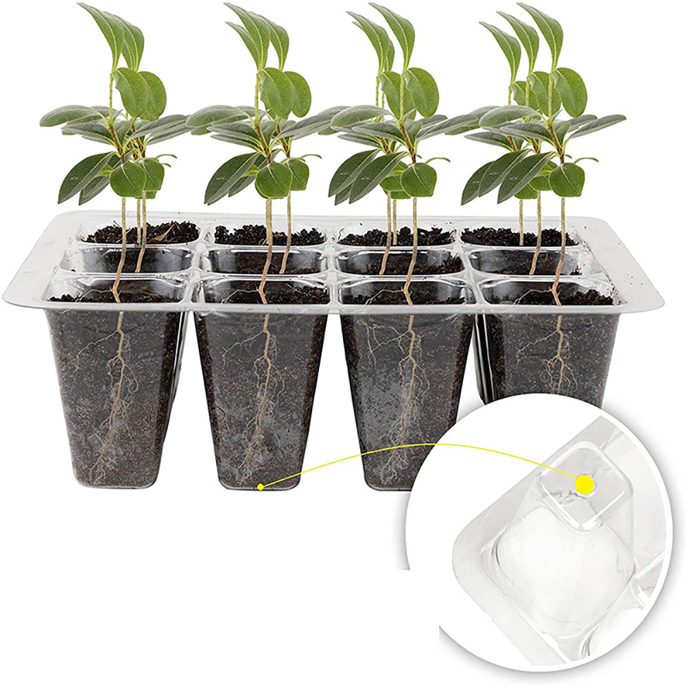 Seed Starter Trays with Grow L - đánh giá và giá Humidity Dome Kit