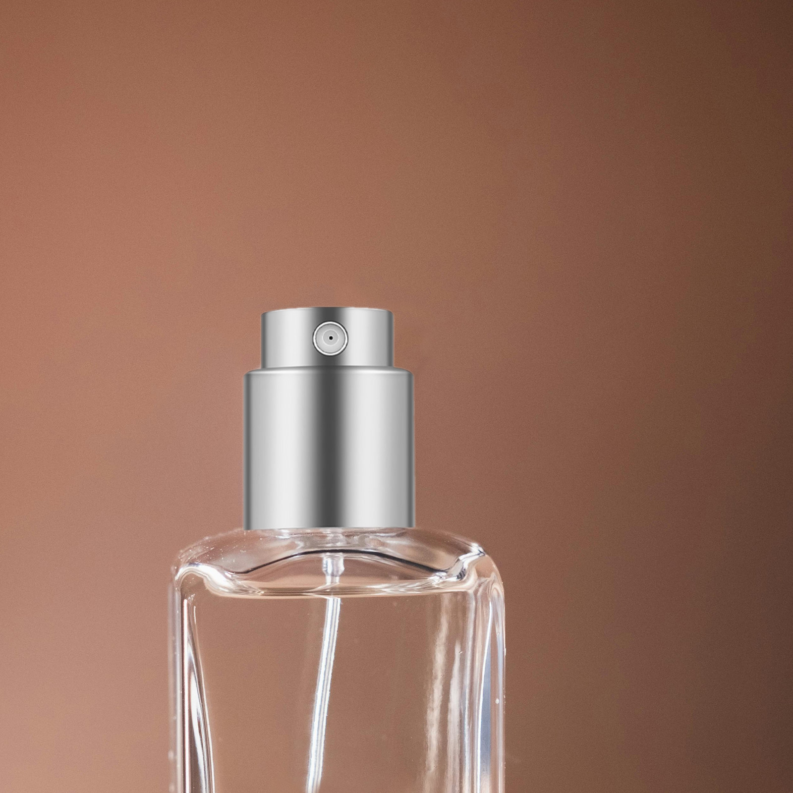 12Sets Perfume Spray Nozzle Si - đánh giá và giá Misting Bottle Fine
