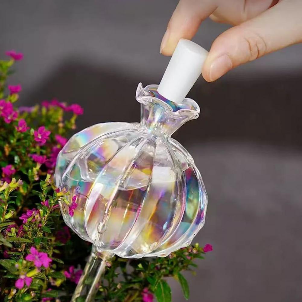 24cm Cactus Self Watering Bulb - đánh giá và giá Self Watering Insert