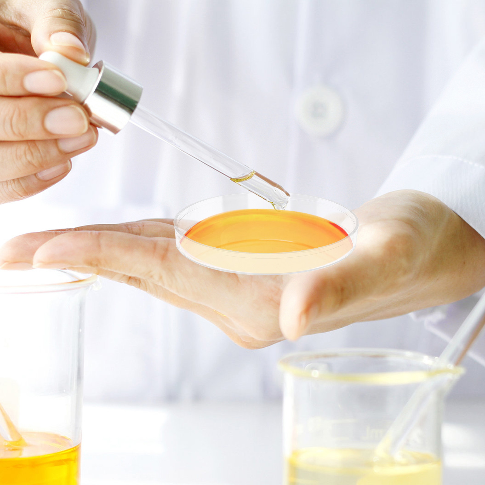 30Pcs Petri Dish Clear Plastic - đánh giá và giá Agar Tissue Culture