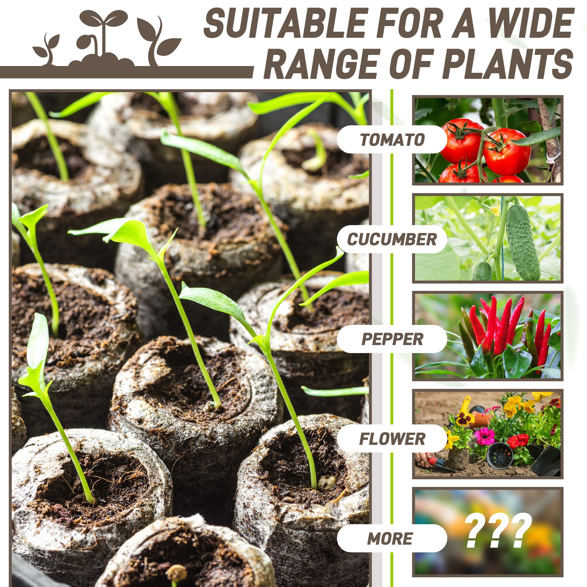 50pcs 35mm Compressed Peat Pel - đánh giá và giá Peat Pellet Tray