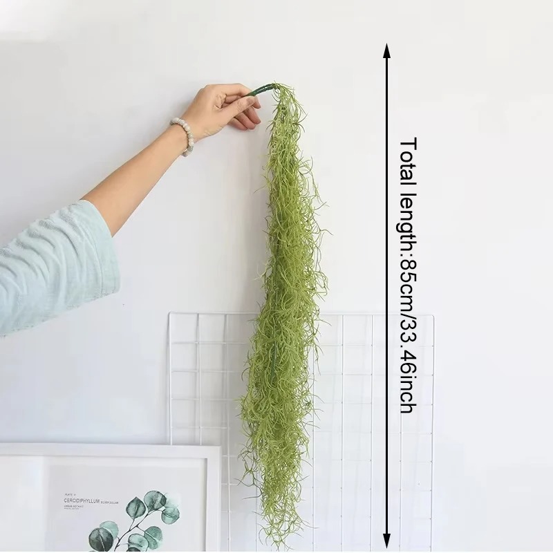 1/3/5pcs Air Grass Green Plant - đánh giá và giá Sphagnum Moss Dry