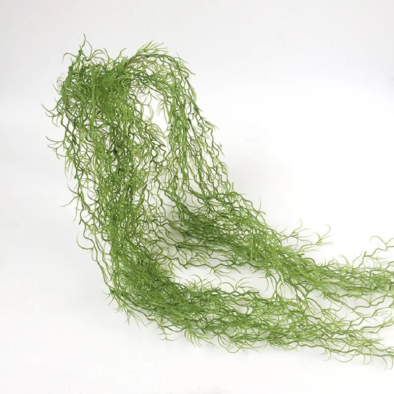 1/3/5pcs Air Grass Green Plant - đánh giá và giá Sphagnum Moss Dry