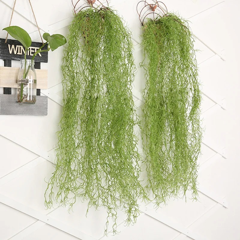 1/3/5pcs Air Grass Green Plant - đánh giá và giá Sphagnum Moss Dry