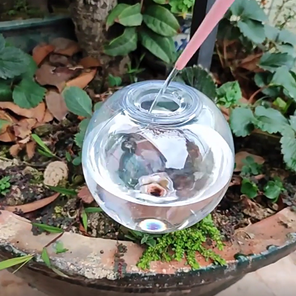 500ML Self Watering Globes Dri - đánh giá và giá Self Watering Insert