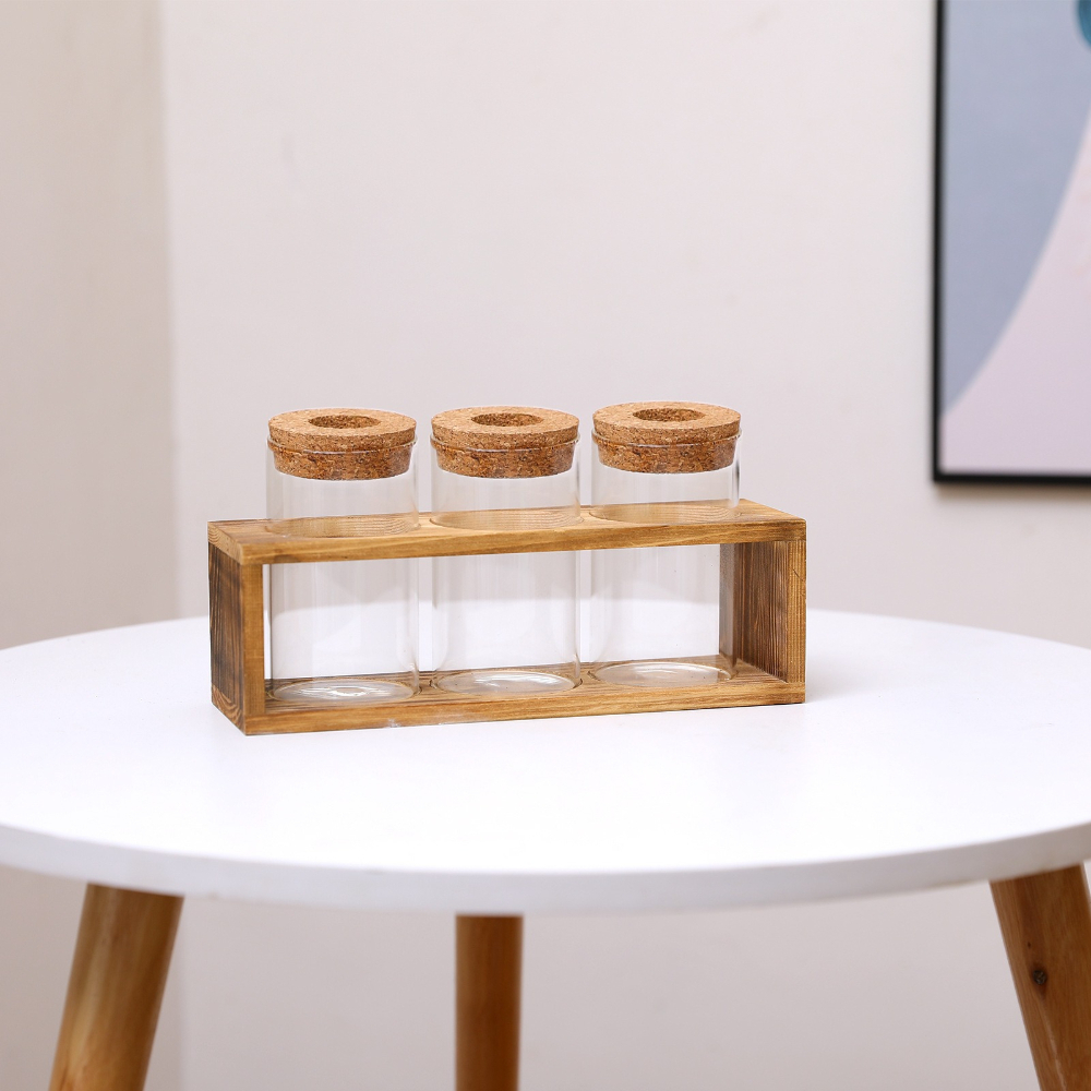 Minimalist Glass Vase with Woo - đánh giá và giá Propagation Station Vase
