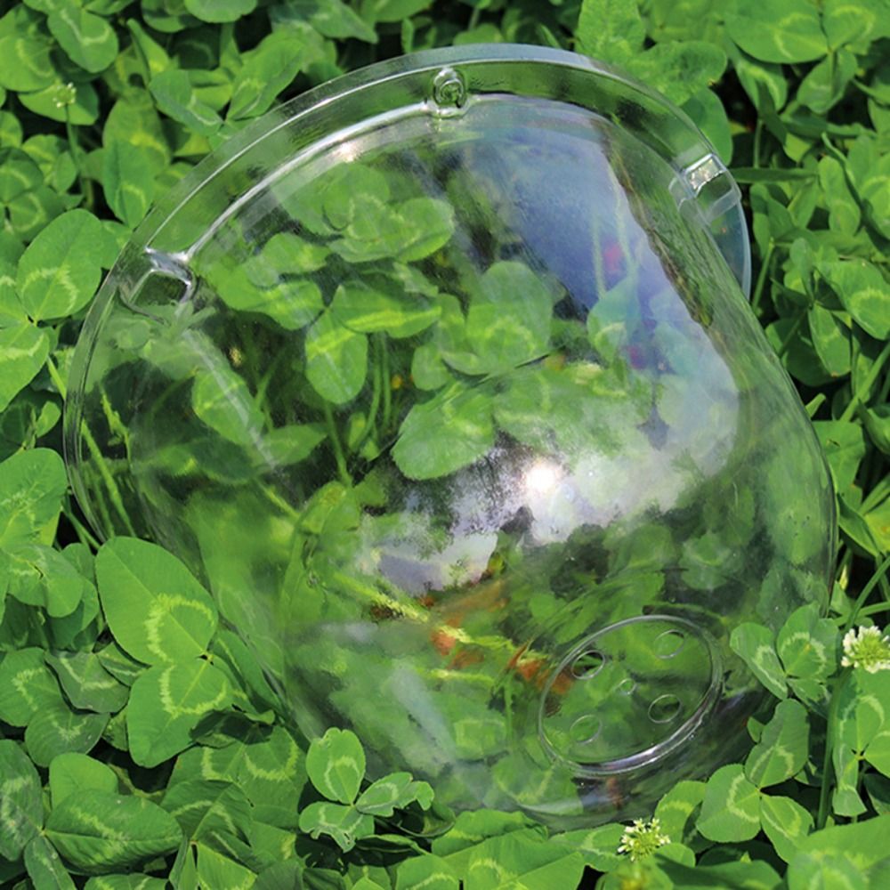 Reusable Clear Plastic Seedlin - đánh giá và giá Plastic Dome Clear