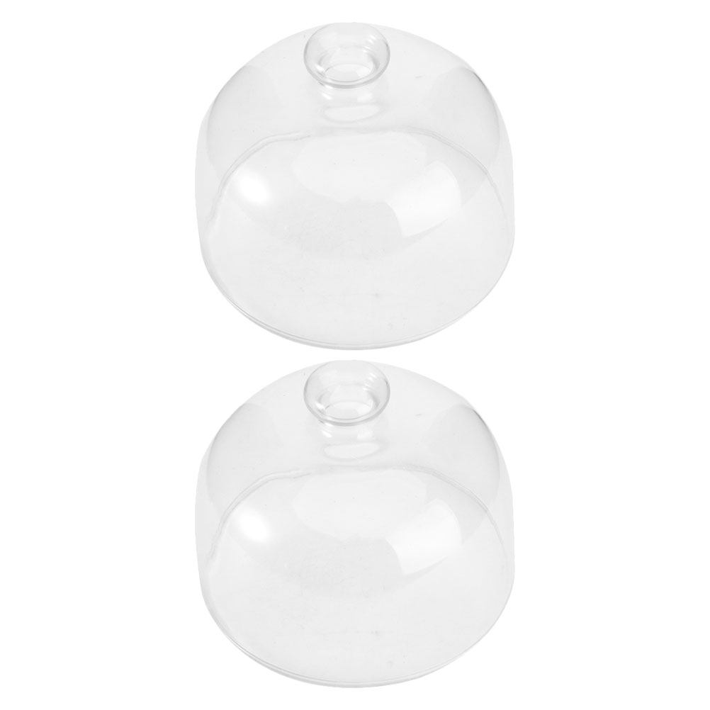 2Pcs Transparent Glass Cake Do - đánh giá và giá Plastic Dome Clear