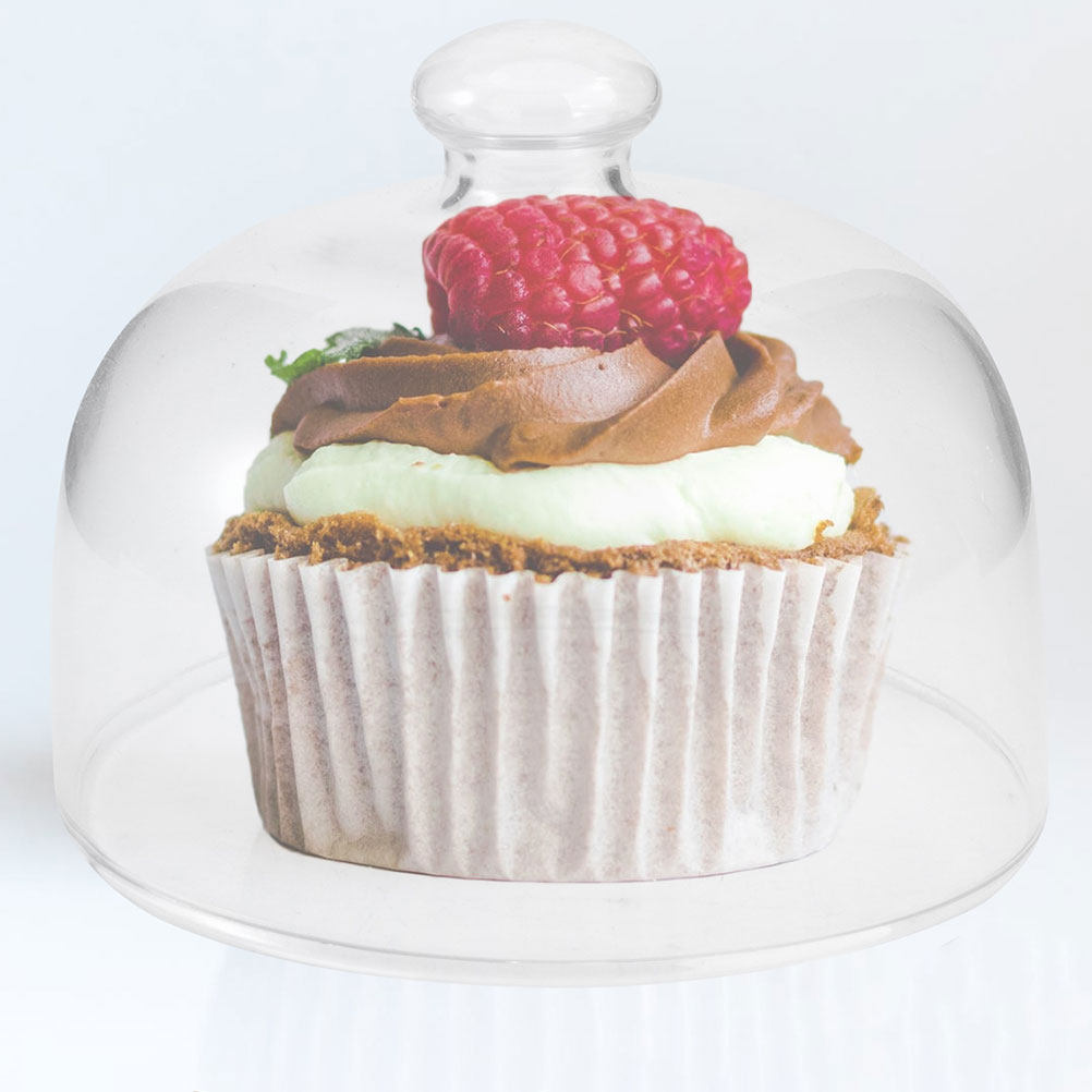 2Pcs Transparent Glass Cake Do - đánh giá và giá Plastic Dome Clear