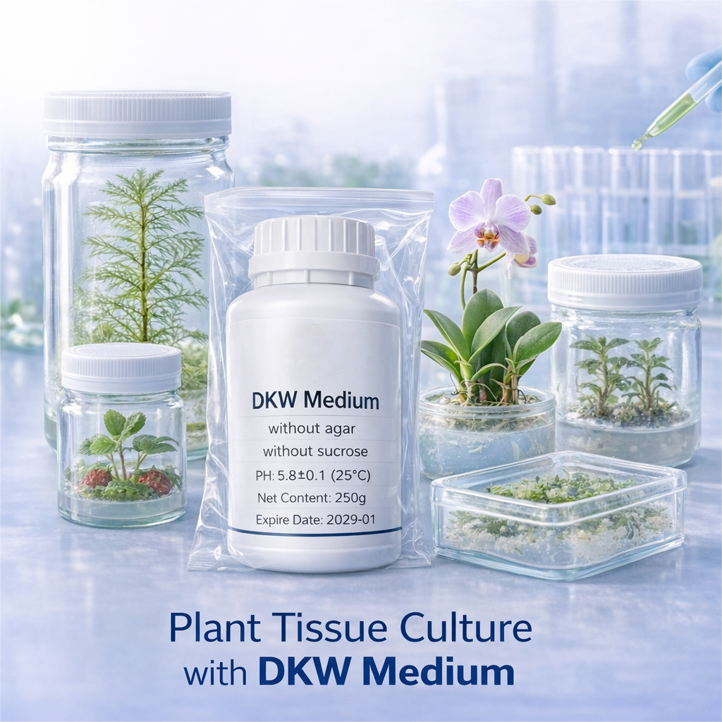 DKW Medium Plant Tissue Cultur - đánh giá và giá Agar Tissue Culture