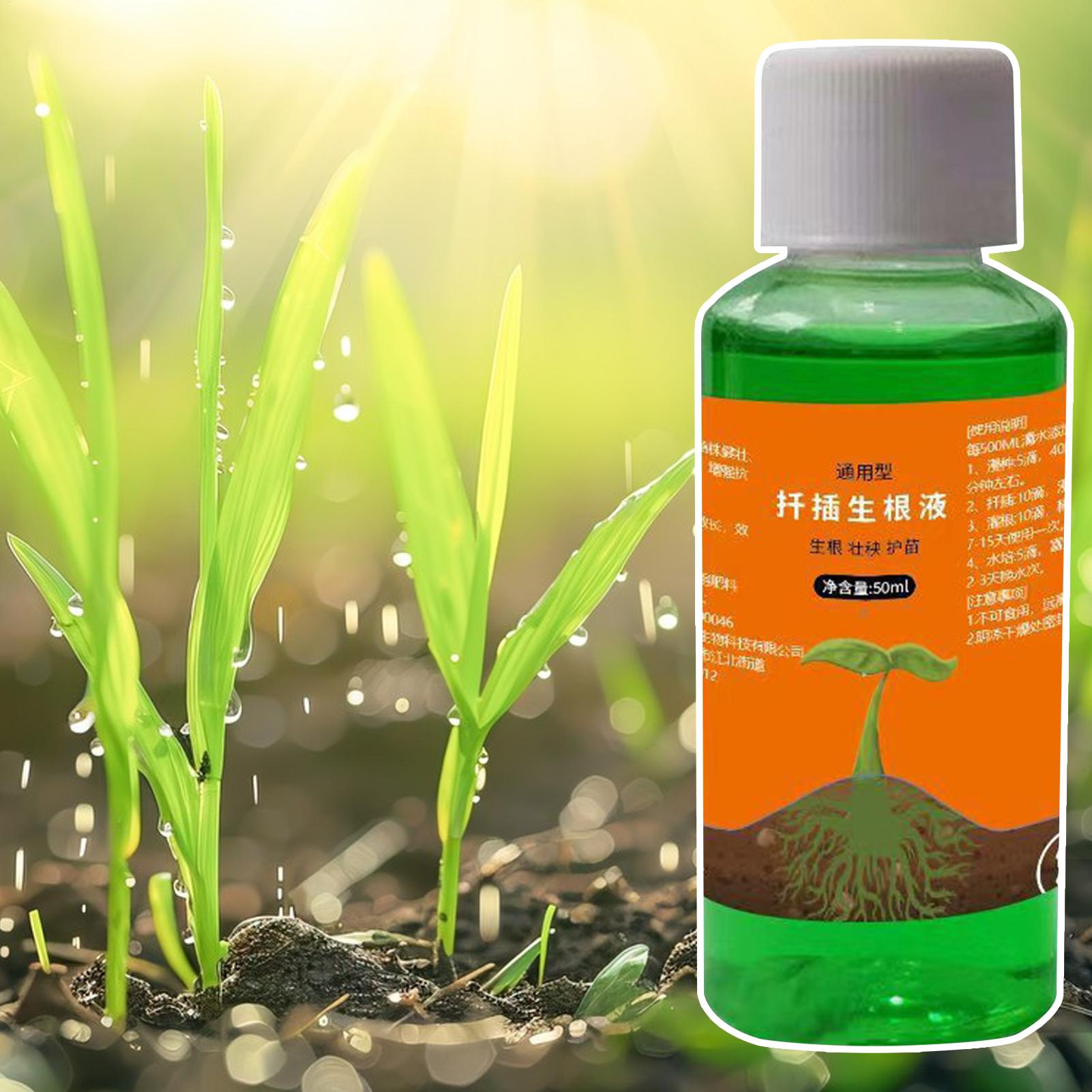 High-Efficiency Root Stimulato - đánh giá và giá Root Stimulator Liquid