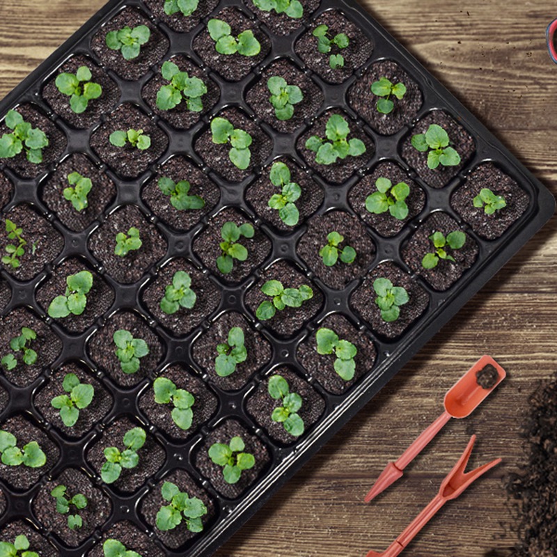 ABGH-10 Pack Seed Starter Tray - đánh giá và giá Propagation Tray 72