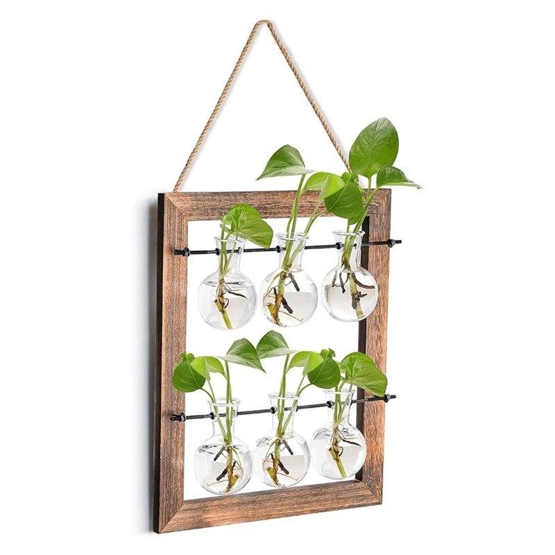 ABLN-Wall Planter Vase For Hyd - đánh giá và giá Propagation Station Vase