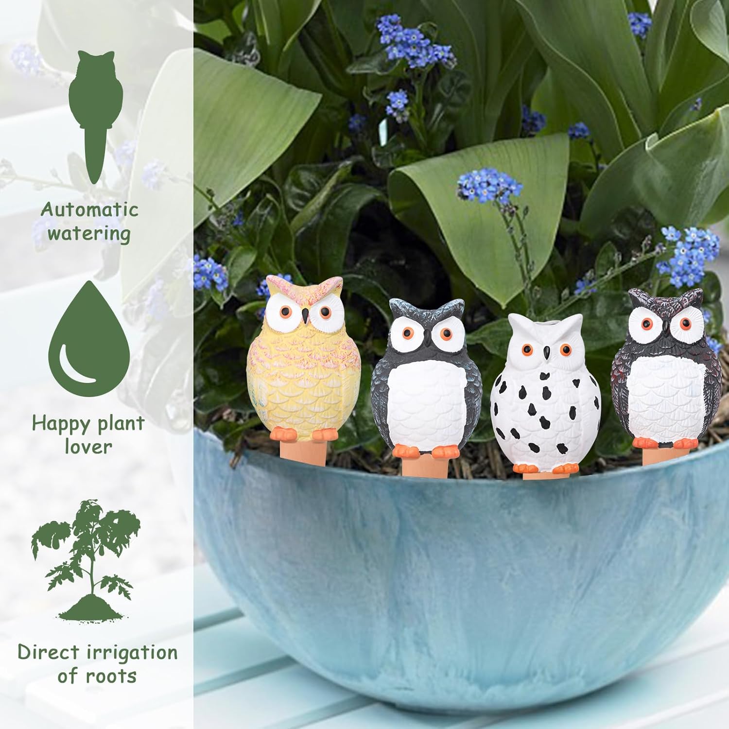 Self Plant Watering Globes Ter - đánh giá và giá Self Watering Insert