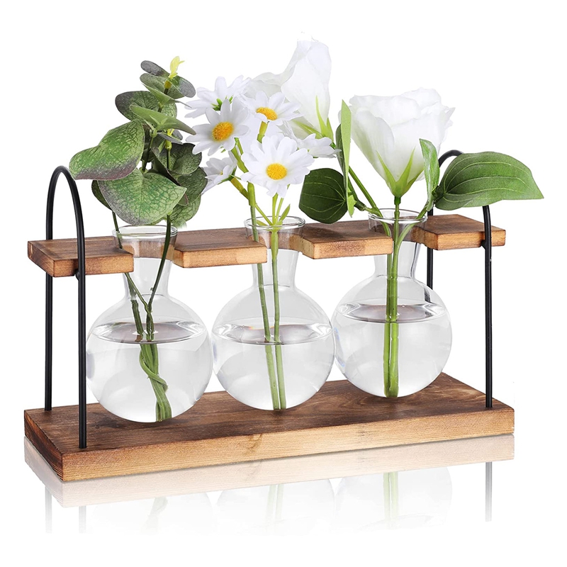 Plant Propagation Station with - đánh giá và giá Propagation Station Vase
