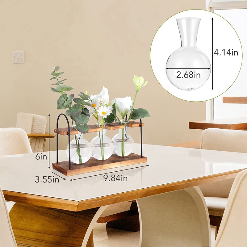 Plant Propagation Station with - đánh giá và giá Propagation Station Vase