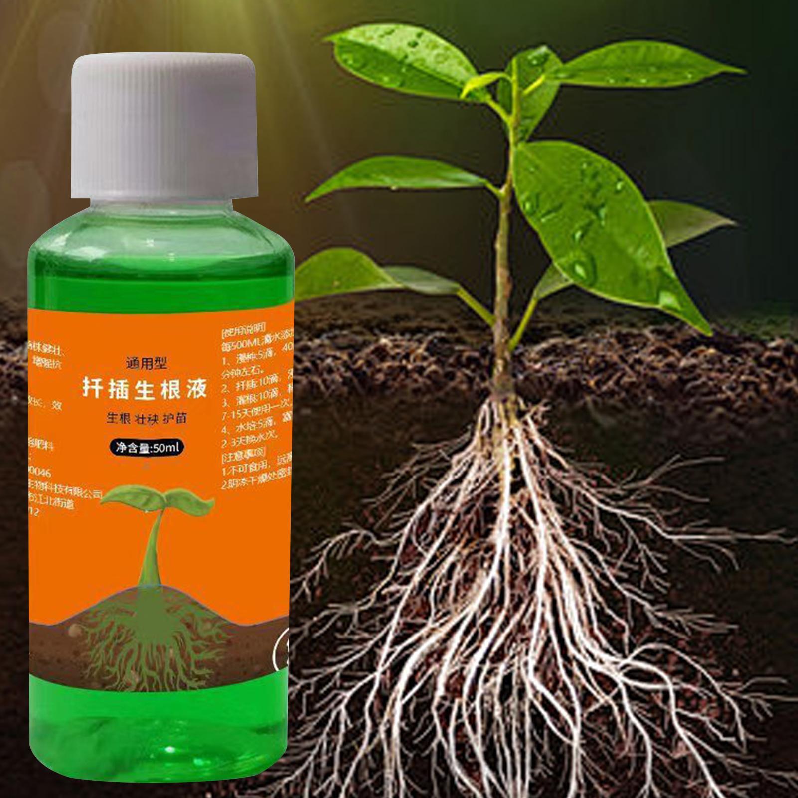 50ml Transplanting Nutrient So - đánh giá và giá Root Stimulator Liquid