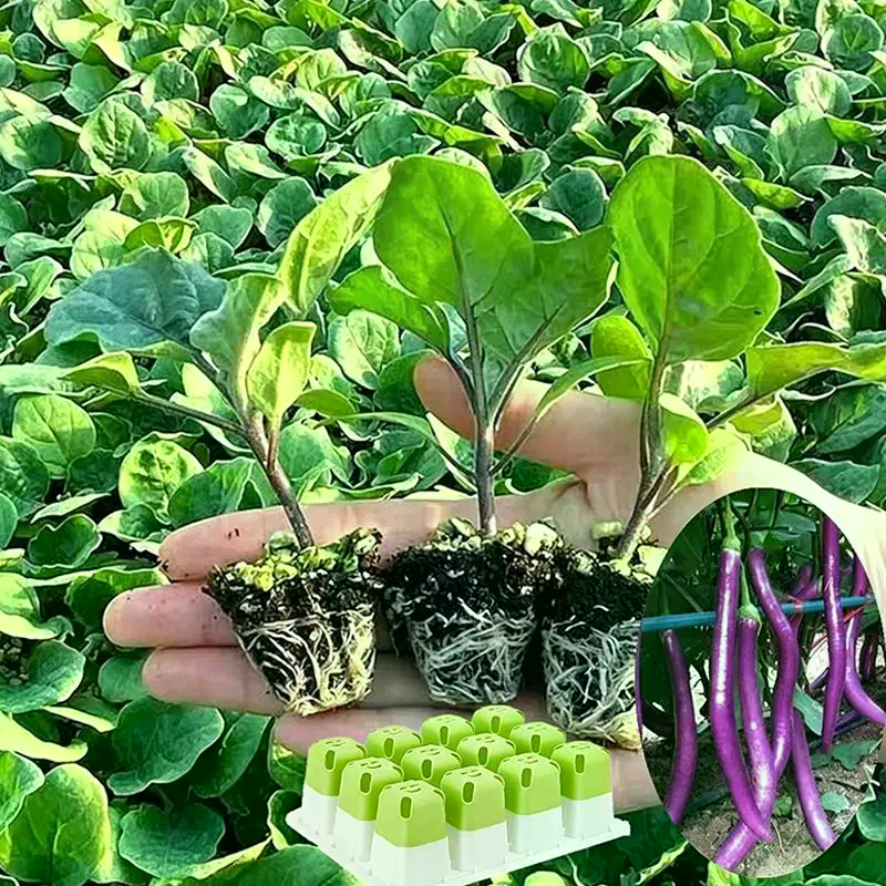 Seed Starter Tray With Humidit - đánh giá và giá Humidity Dome Kit
