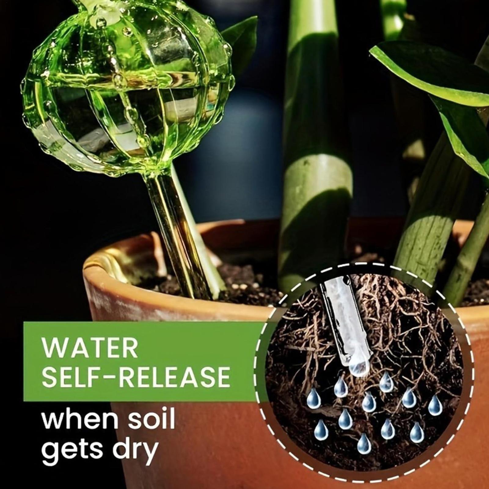 Plant Watering Stakes 3 Pieces - đánh giá và giá Self Watering Insert