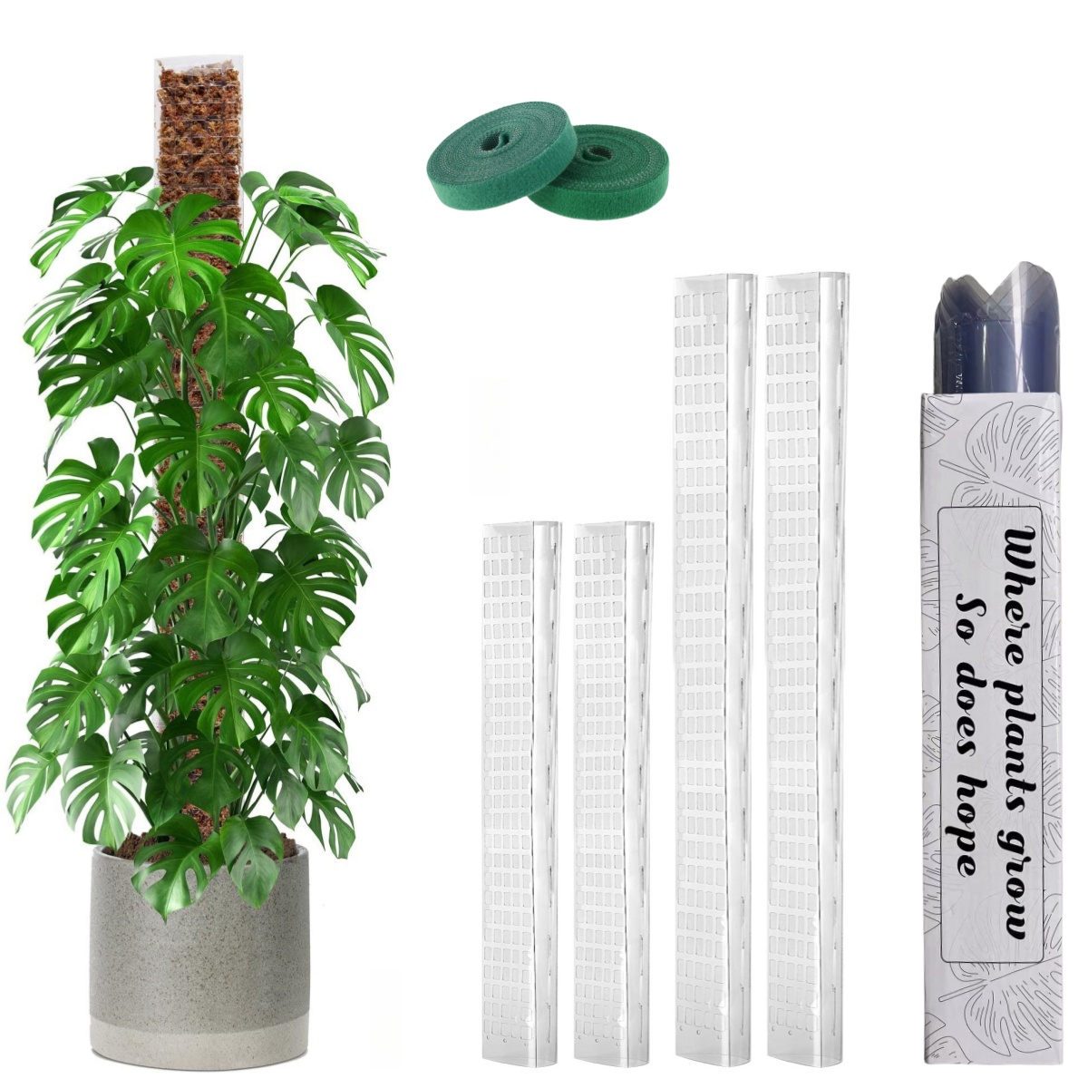 Plastic Moss Pole,24in/36in/48 - đánh giá và giá Sphagnum Moss Dry