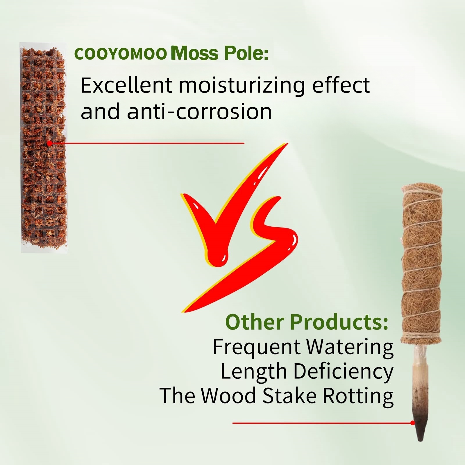 Plastic Moss Pole,24in/36in/48 - đánh giá và giá Sphagnum Moss Dry