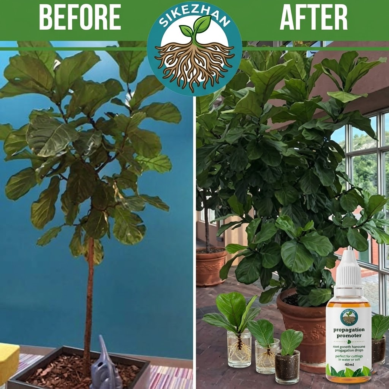 40ml Fast Plant Rooting Liquid - đánh giá và giá Root Stimulator Liquid