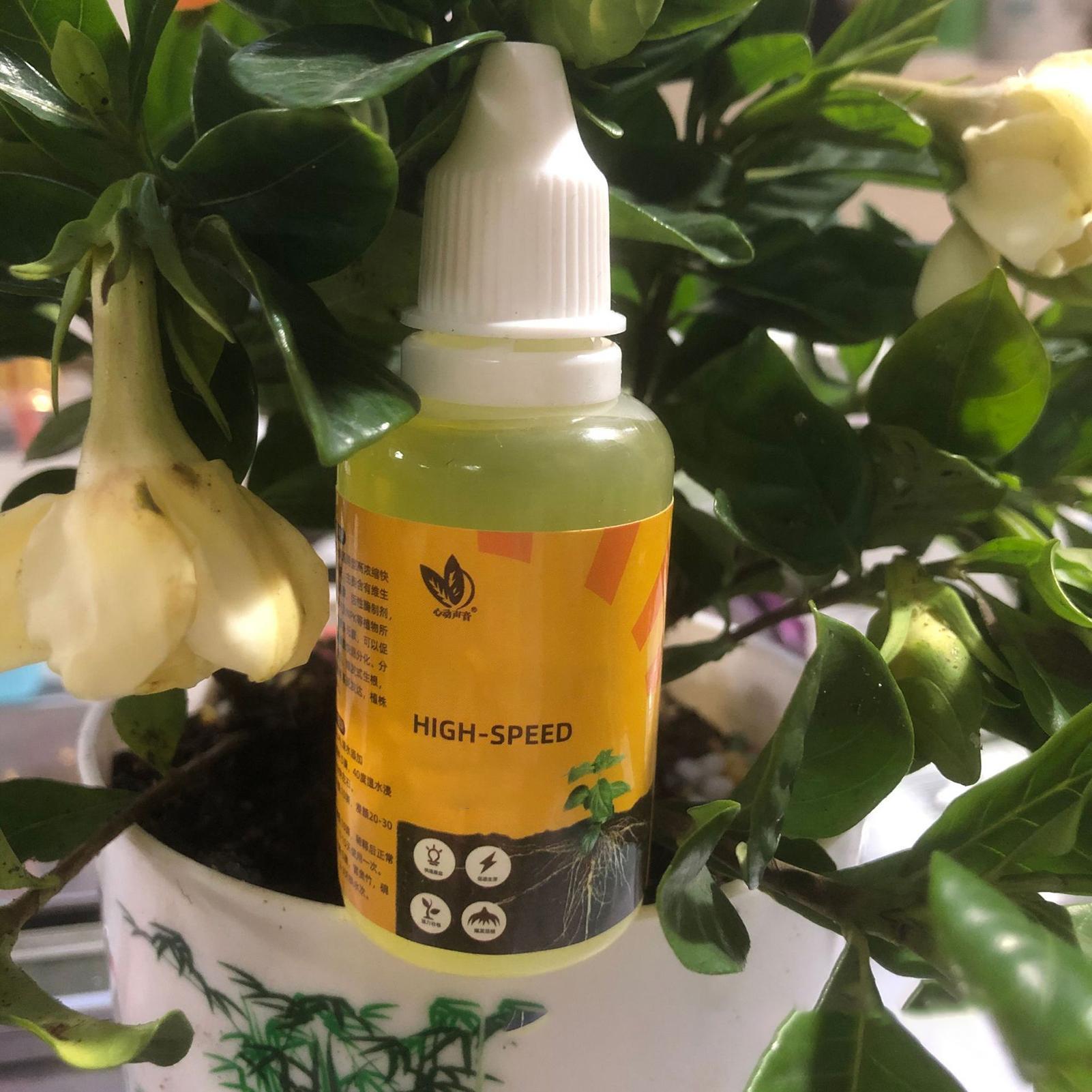 Plant Rapid Rooting Solution 5 - đánh giá và giá Root Stimulator Liquid