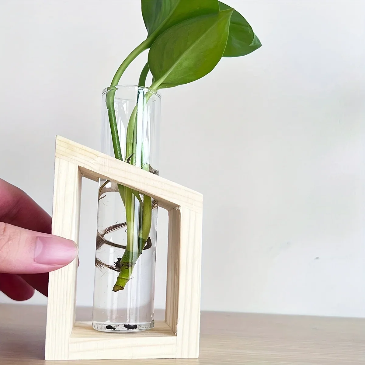 Test Tube Glass Vase Plant Pro - đánh giá và giá Propagation Station Vase