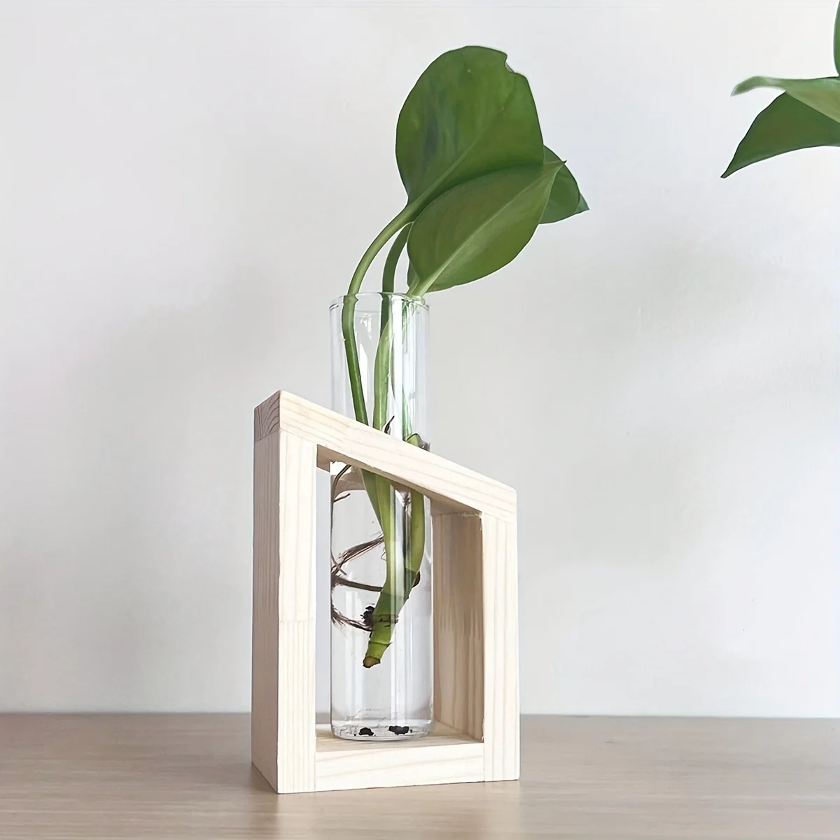 Test Tube Glass Vase Plant Pro - đánh giá và giá Propagation Station Vase