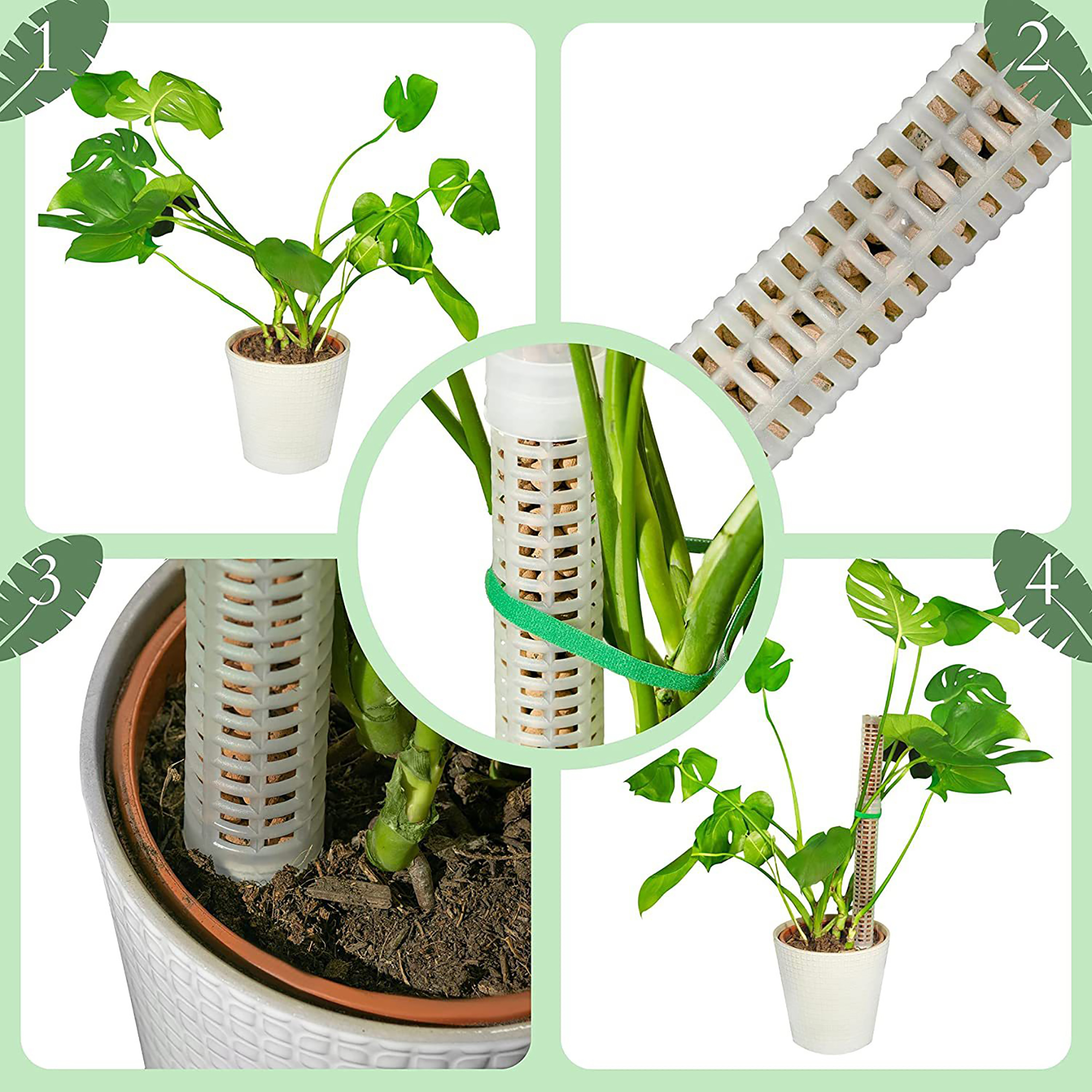 Vật Có Hoa Leo Cột Sphagnum Rê - đánh giá và giá Sphagnum Moss Dry