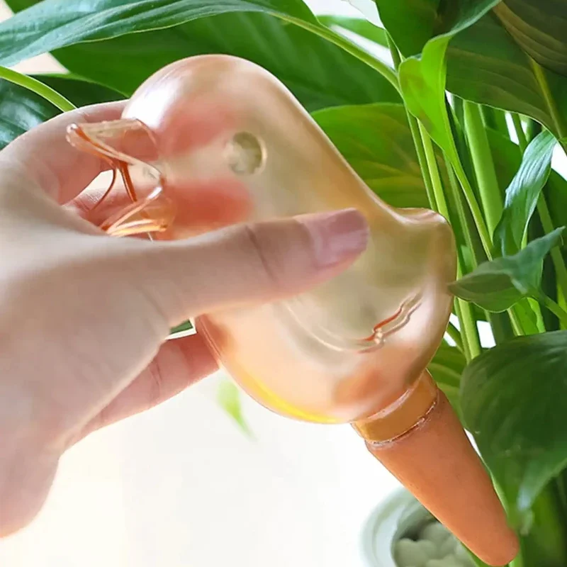 High quality automatic flower  - đánh giá và giá Self Watering Insert