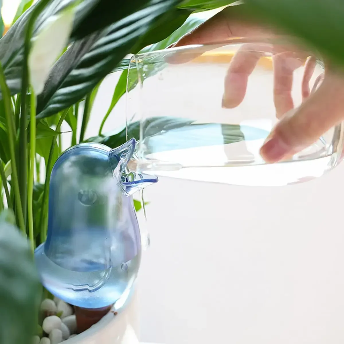 High quality automatic flower  - đánh giá và giá Self Watering Insert