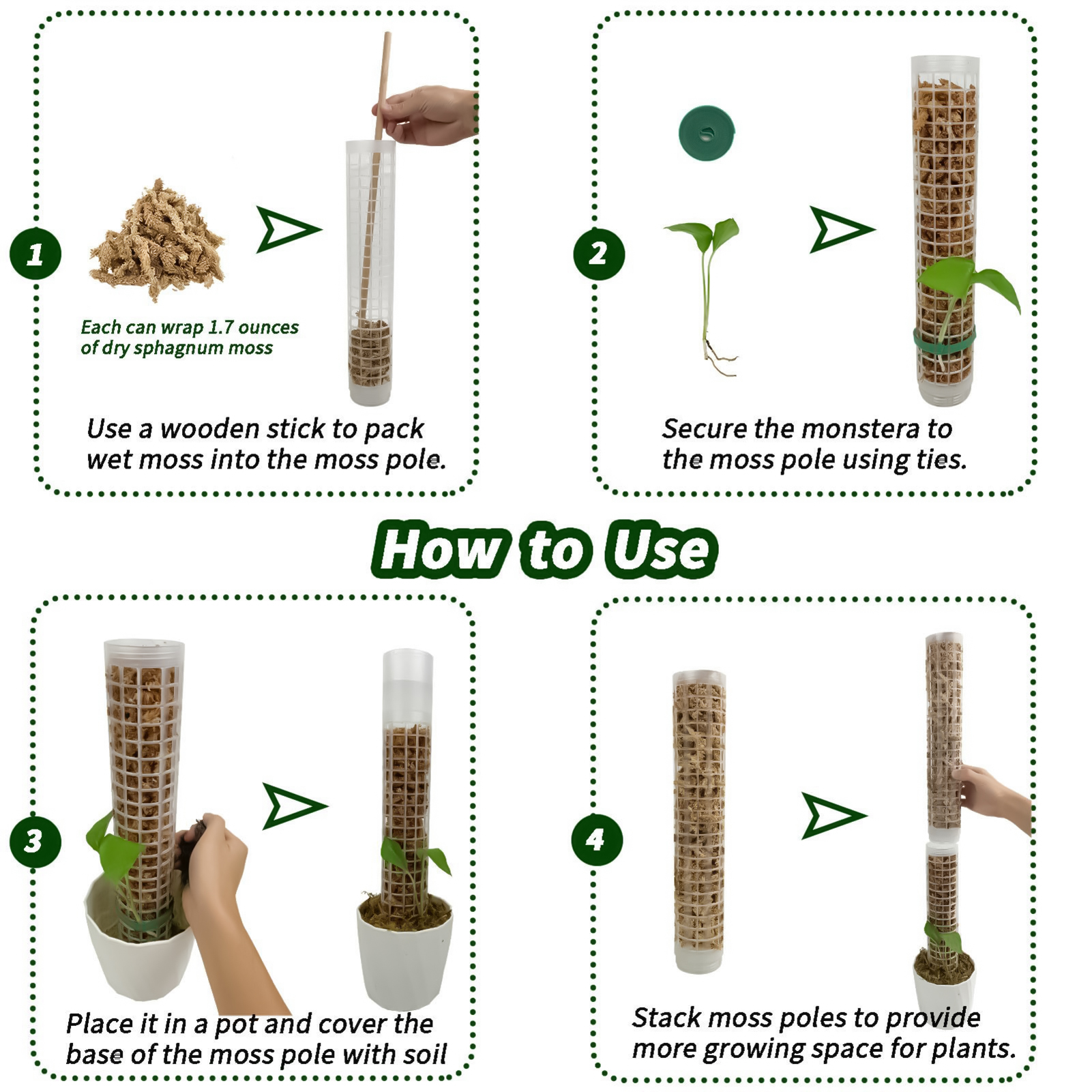 Self-watering Moss Pole Plasti - đánh giá và giá Sphagnum Moss Dry