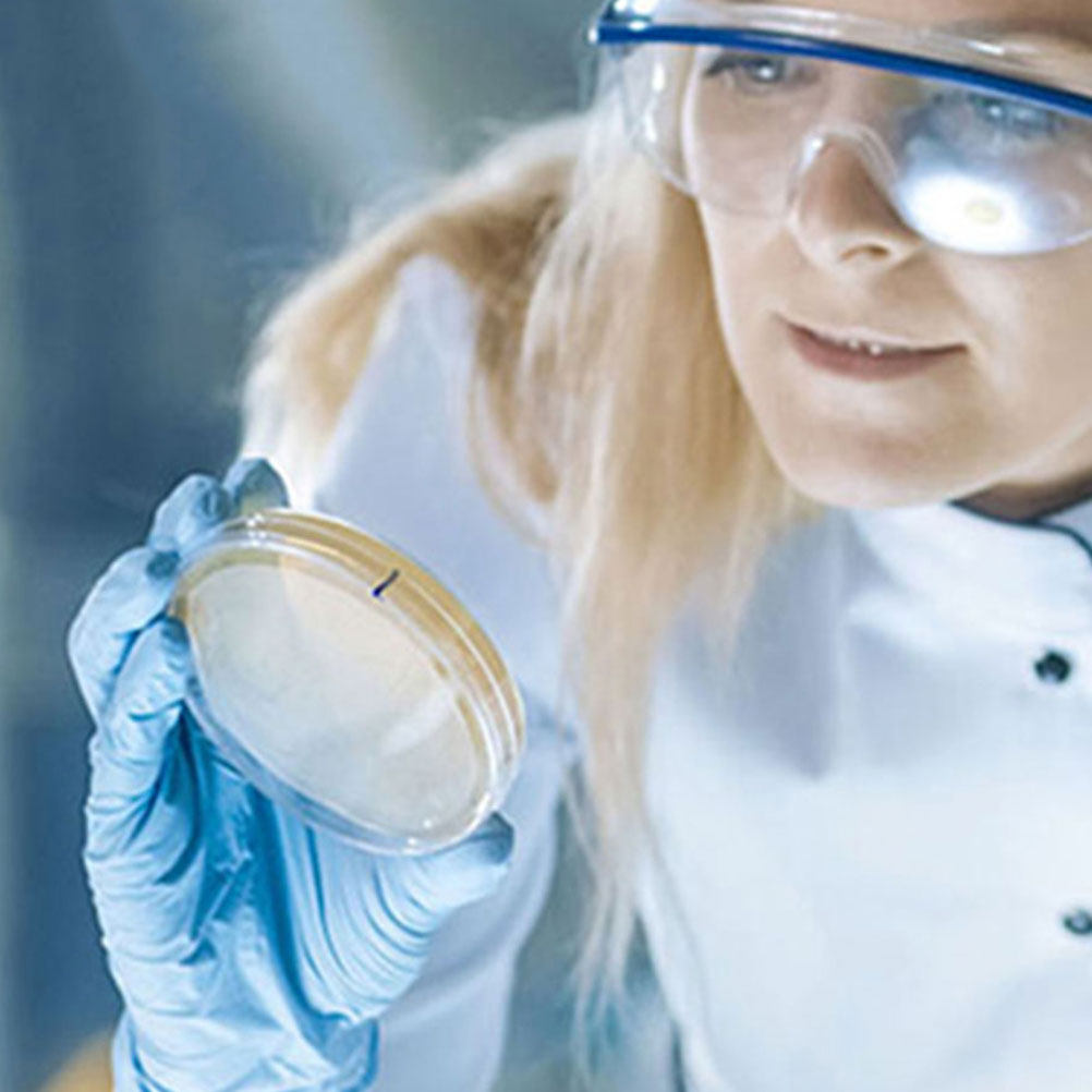 10Pcs Plastic Petri Dishes Tra - đánh giá và giá Agar Tissue Culture