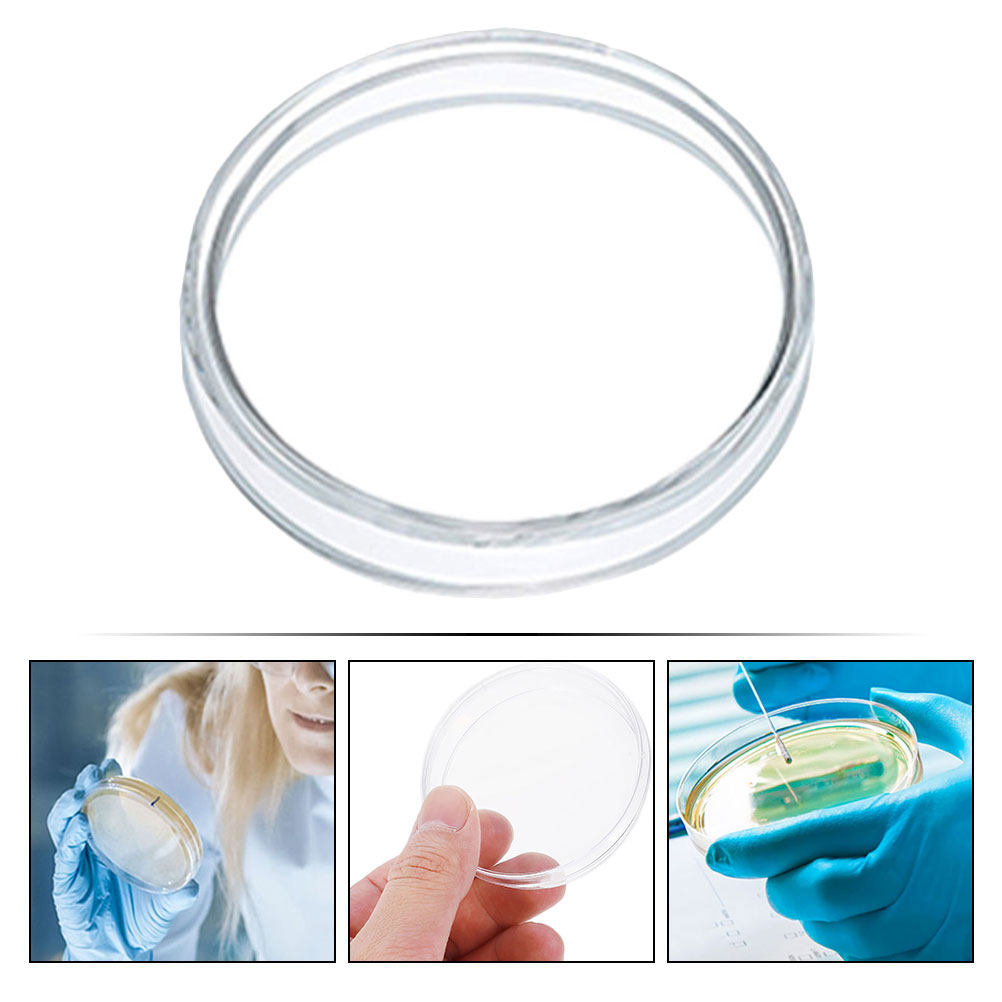 10Pcs Plastic Petri Dishes Tra - đánh giá và giá Agar Tissue Culture