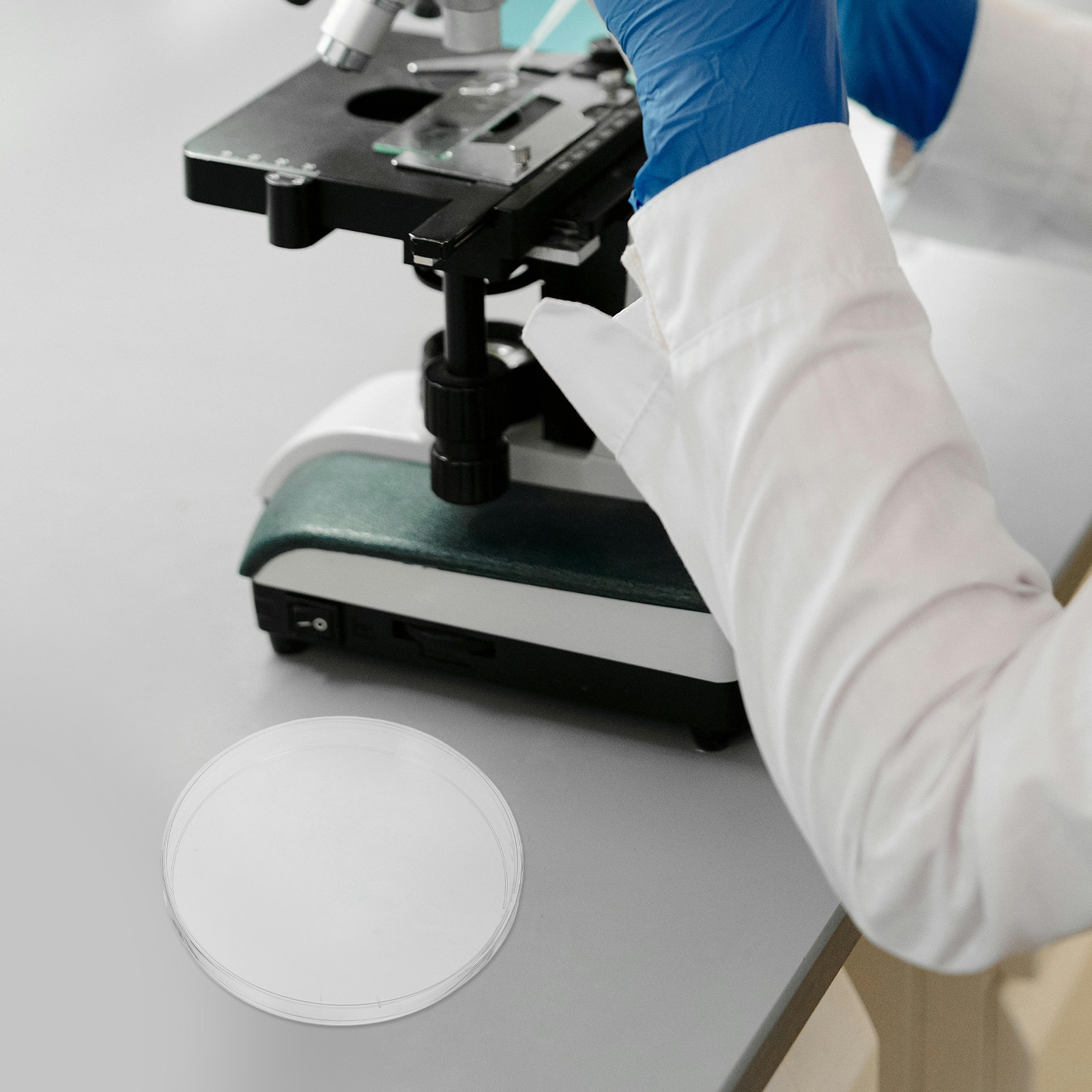 10Pcs Laboratory Petri Dishes  - đánh giá và giá Agar Tissue Culture