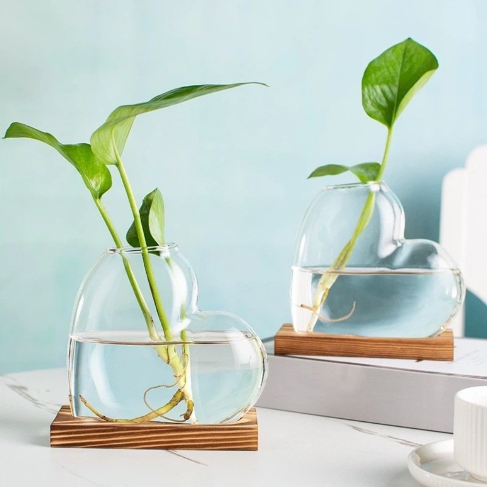 Transparent Hydroponic Glass V - đánh giá và giá Propagation Station Vase