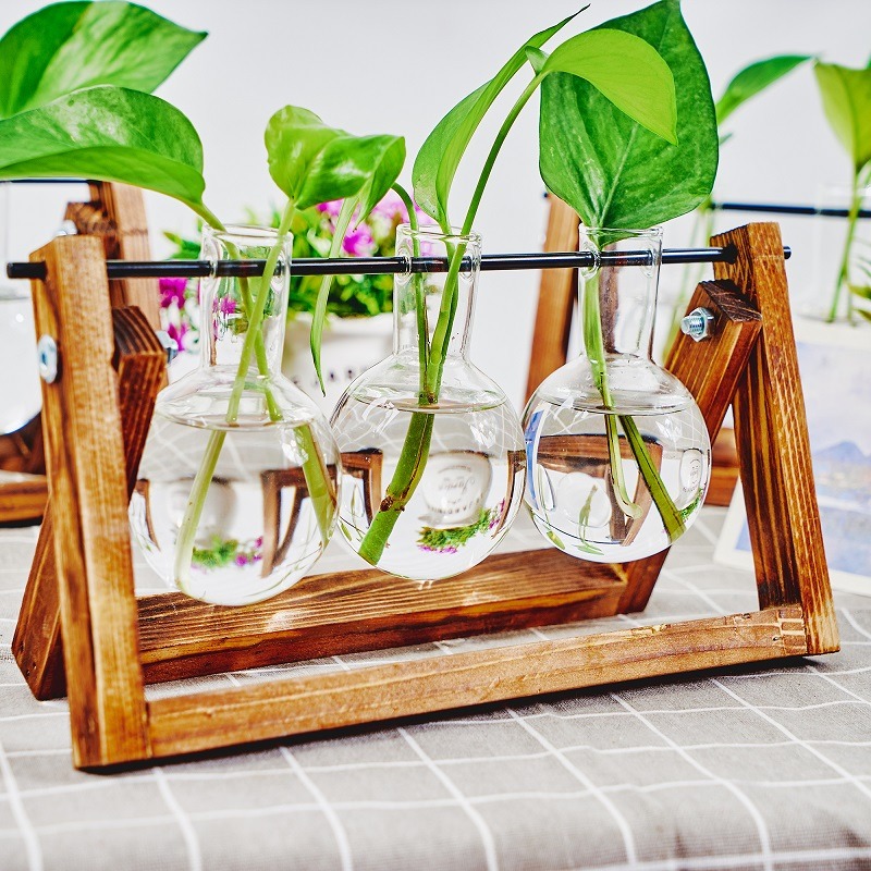 Tabletop Glass Planter Propaga - đánh giá và giá Propagation Station Vase