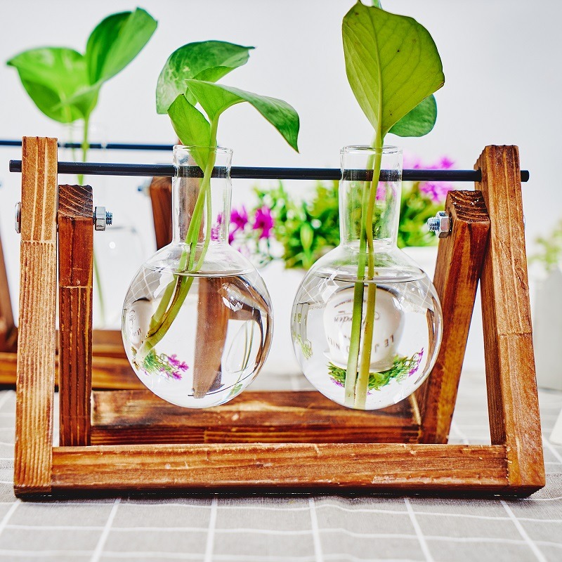 Tabletop Glass Planter Propaga - đánh giá và giá Propagation Station Vase