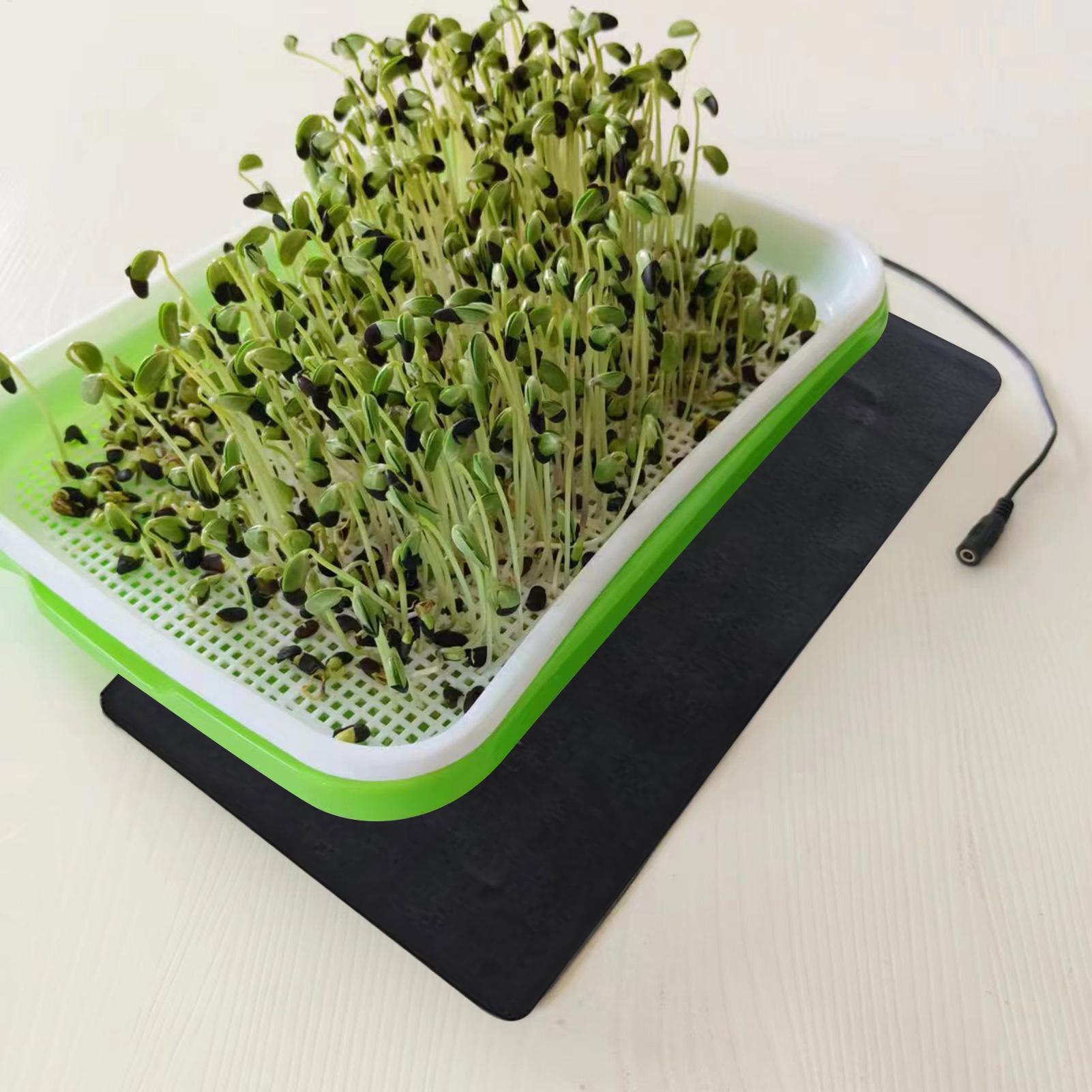 Seedling Heat Mat 5V 2A 8.5W P - đánh giá và giá Heat Mat Seedling