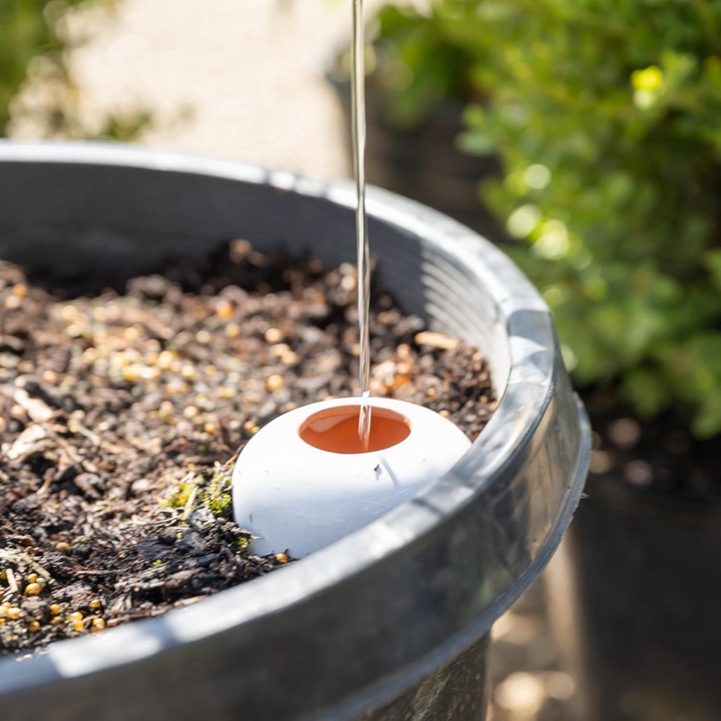 Plant Watering Ball, Terracott - đánh giá và giá Self Watering Insert