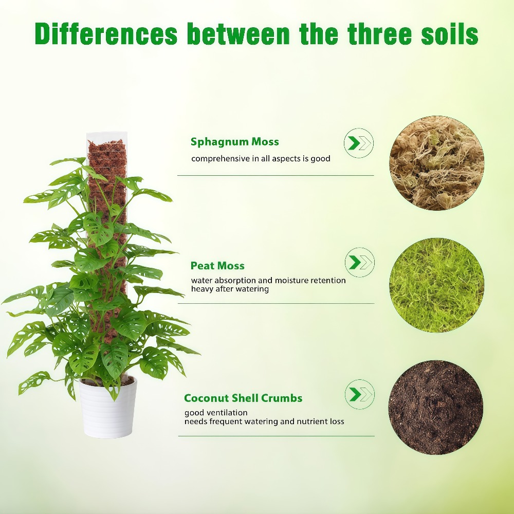 Moss Pole Plastic Plant Stand  - đánh giá và giá Sphagnum Moss Dry